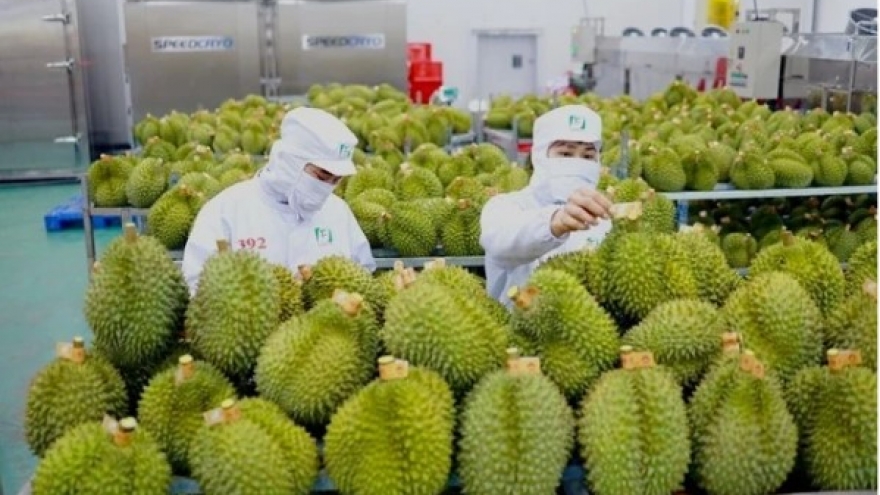 Vietnam tightens fruit inspections after warning from China